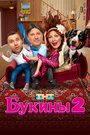 Смотреть Букины онлайн в HD качестве 