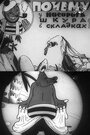 Смотреть Почему у носорога шкура в складках онлайн в HD качестве 