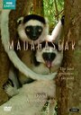 Смотреть BBC: Мадагаскар на хдрезка онлайн в HD качестве 720p