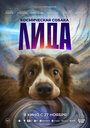 Смотреть Космическая собака Лида на HDrezka онлайн в HD качестве 720p