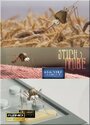 Смотреть Проба на укус на хдрезка онлайн в HD качестве 720p