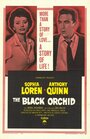 Смотреть Черная орхидея на хдрезка онлайн в HD качестве 720p