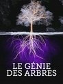 Смотреть Деревья: гении мира природы на хдрезка онлайн в HD качестве 720p