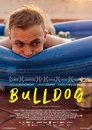 Смотреть Бульдог на хдрезка онлайн в HD качестве 720p