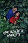 Смотреть Энтони Благословенный на хдрезка онлайн в HD качестве 720p
