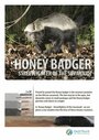Смотреть National Geographic. Жизнь одного медоеда на хдрезка онлайн в HD качестве 720p