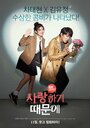 Смотреть Потому что я тебя люблю на HDrezka онлайн в HD качестве 720p