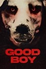 Смотреть Опасный друг на хдрезка онлайн в HD качестве 720p