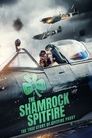 Смотреть Шемрок Спитфайр на хдрезка онлайн в HD качестве 720p