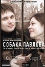 Смотреть Собака Павлова на HDrezka онлайн в HD качестве 720p