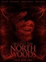 Смотреть За северным лесом онлайн в HD качестве 720p