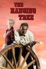 Смотреть Дерево для повешенных на хдрезка онлайн в HD качестве 720p
