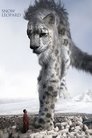 Смотреть Снежный барс онлайн в HD качестве 720p