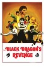 Смотреть Месть черного дракона на хдрезка онлайн в HD качестве 720p