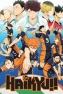 Смотреть Волейбол на HDrezka онлайн в HD качестве 720p