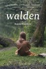Смотреть Вальден на хдрезка онлайн в HD качестве 720p