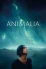 Смотреть Анималия на хдрезка онлайн в HD качестве 720p