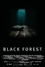 Смотреть Черный лес на HDrezka онлайн в HD качестве 720p