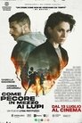 Смотреть Среди волков на HDrezka онлайн в HD качестве 720p