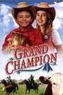 Смотреть Великий чемпион на HDrezka онлайн в HD качестве 720p