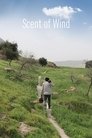 Смотреть Запах ветра онлайн в HD качестве 720p