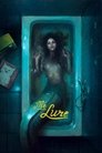 Смотреть Дочери танца на HDrezka онлайн в HD качестве 720p
