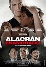 Смотреть Влюбленный скорпион на хдрезка онлайн в HD качестве 720p