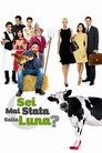 Смотреть Ты бывала на луне? на хдрезка онлайн в HD качестве 720p
