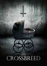 Смотреть Помесь на хдрезка онлайн в HD качестве 720p