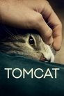 Смотреть Кот на HDrezka онлайн в HD качестве 720p