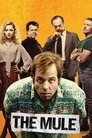 Смотреть Мул на HDrezka онлайн в HD качестве 720p