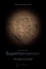 Смотреть Неизведанное онлайн в HD качестве 720p