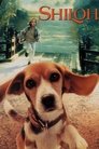 Смотреть Мой лучший друг Шейлок на HDrezka онлайн в HD качестве 720p