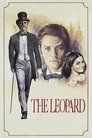 Смотреть Леопард на хдрезка онлайн в HD качестве 720p