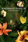 Смотреть В королевстве растений на хдрезка онлайн в HD качестве 720p