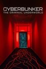 Смотреть Кибербункер: Даркнет в Германии онлайн в HD качестве 720p