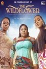 Смотреть Дикий цветок на хдрезка онлайн в HD качестве 720p