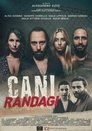 Смотреть Бродячие псы онлайн в HD качестве 